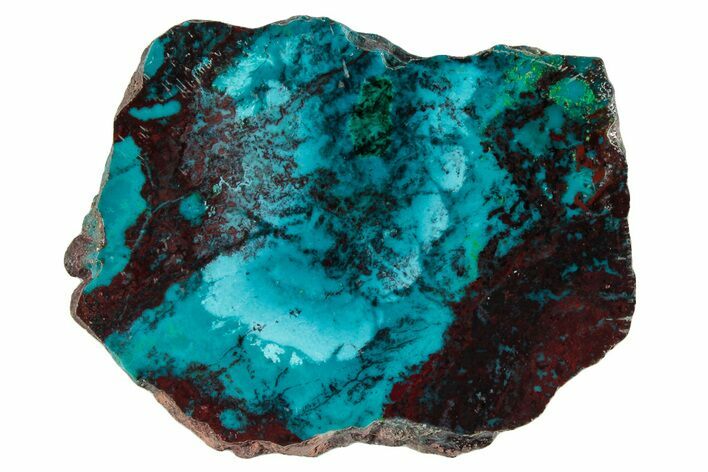 Vibrant Chrysocolla and Shattuckite Slab - Mexico #281758